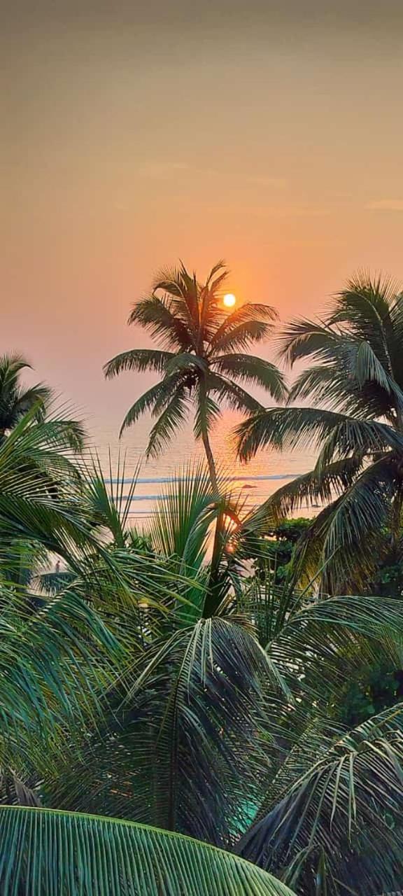 Kumbaya Beachside Hostel & Apartments At Arambol Beach Екстер'єр фото